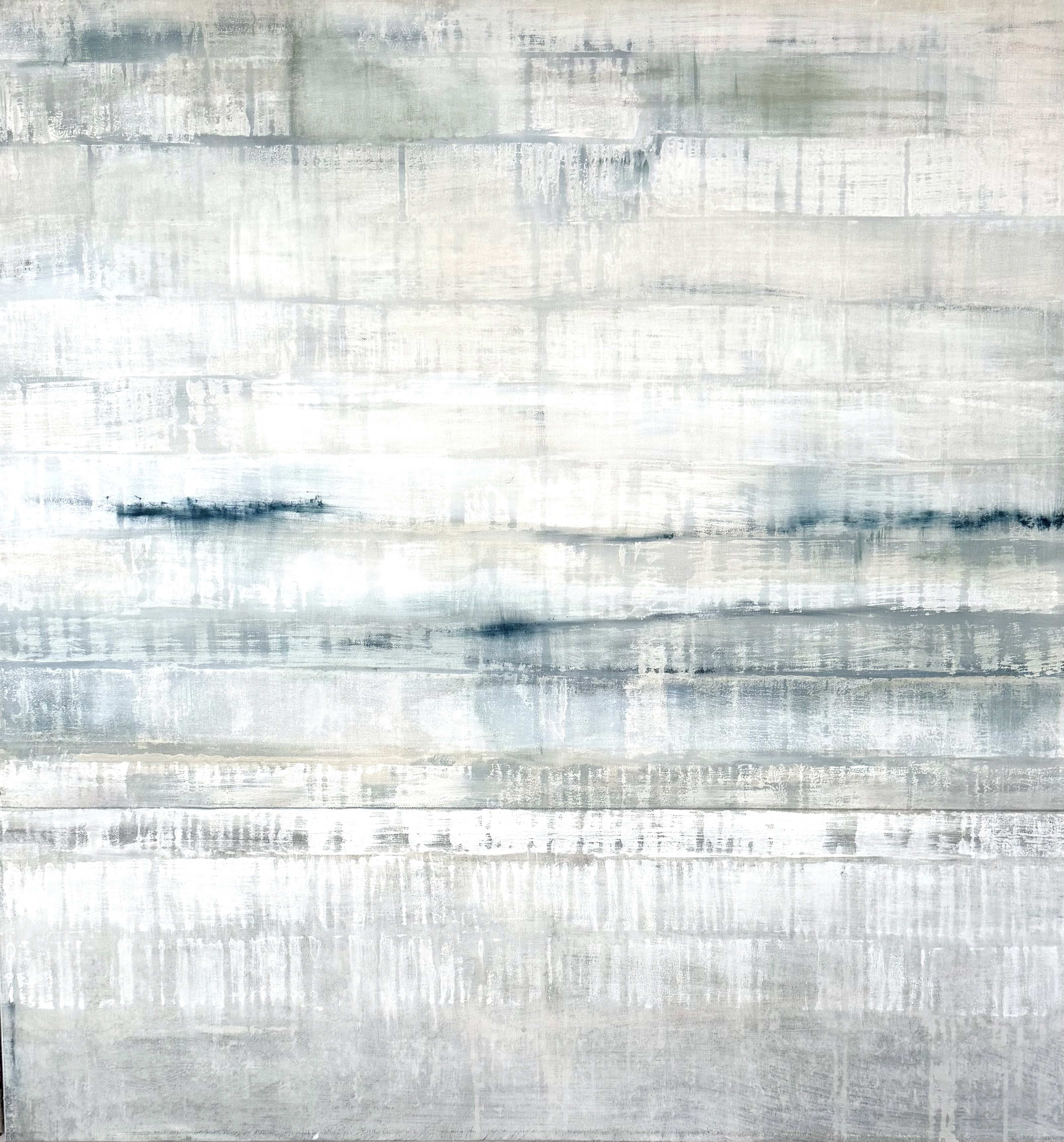 Soft Horizons 1