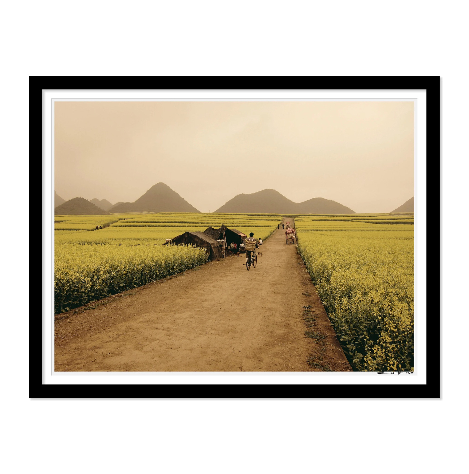 LUOPING FIELDS, LUOPING, CHINA 2011 / 20X30" FRAMED