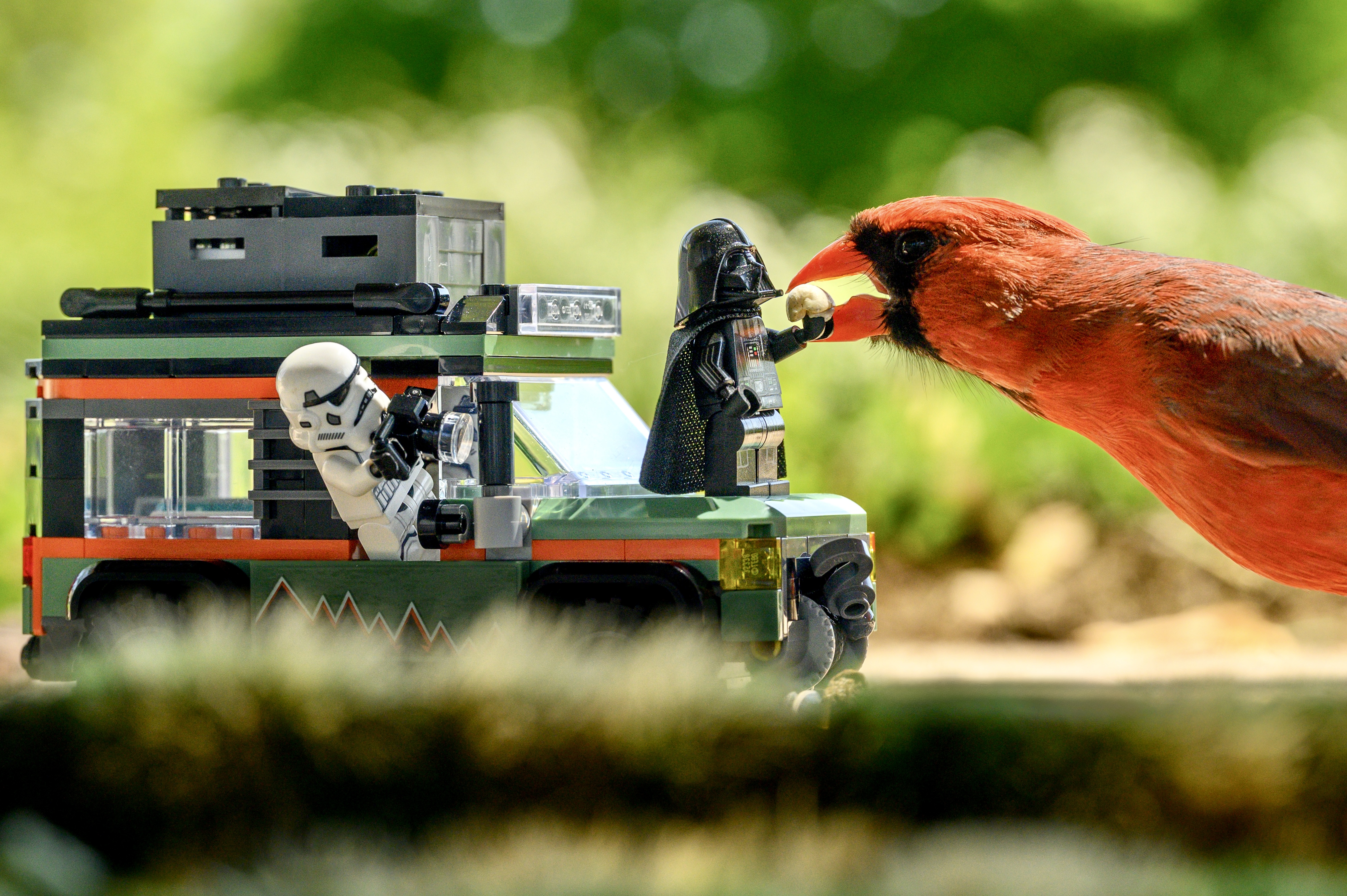 Darth Cardinal
