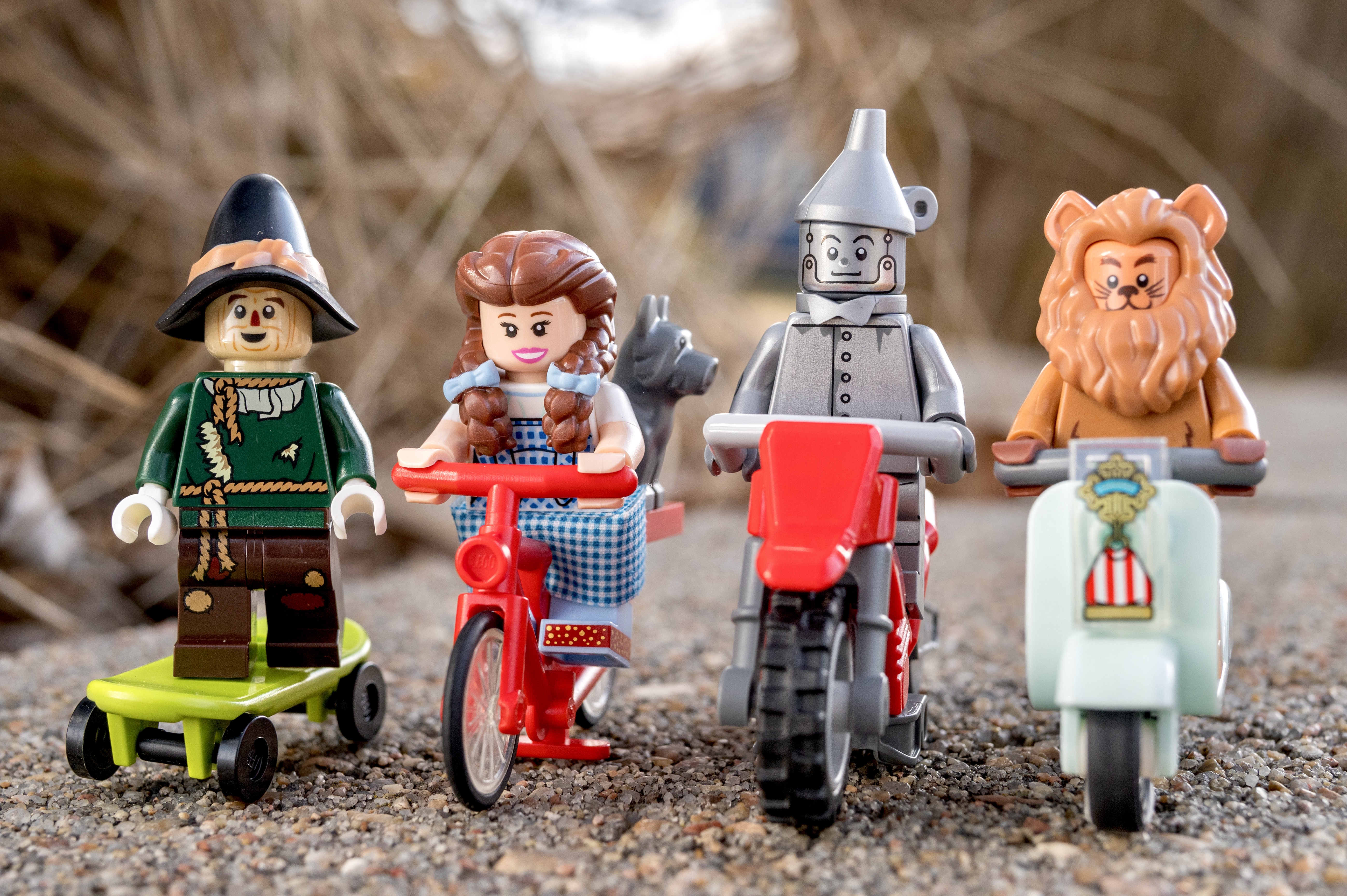 Dorothy and Gang