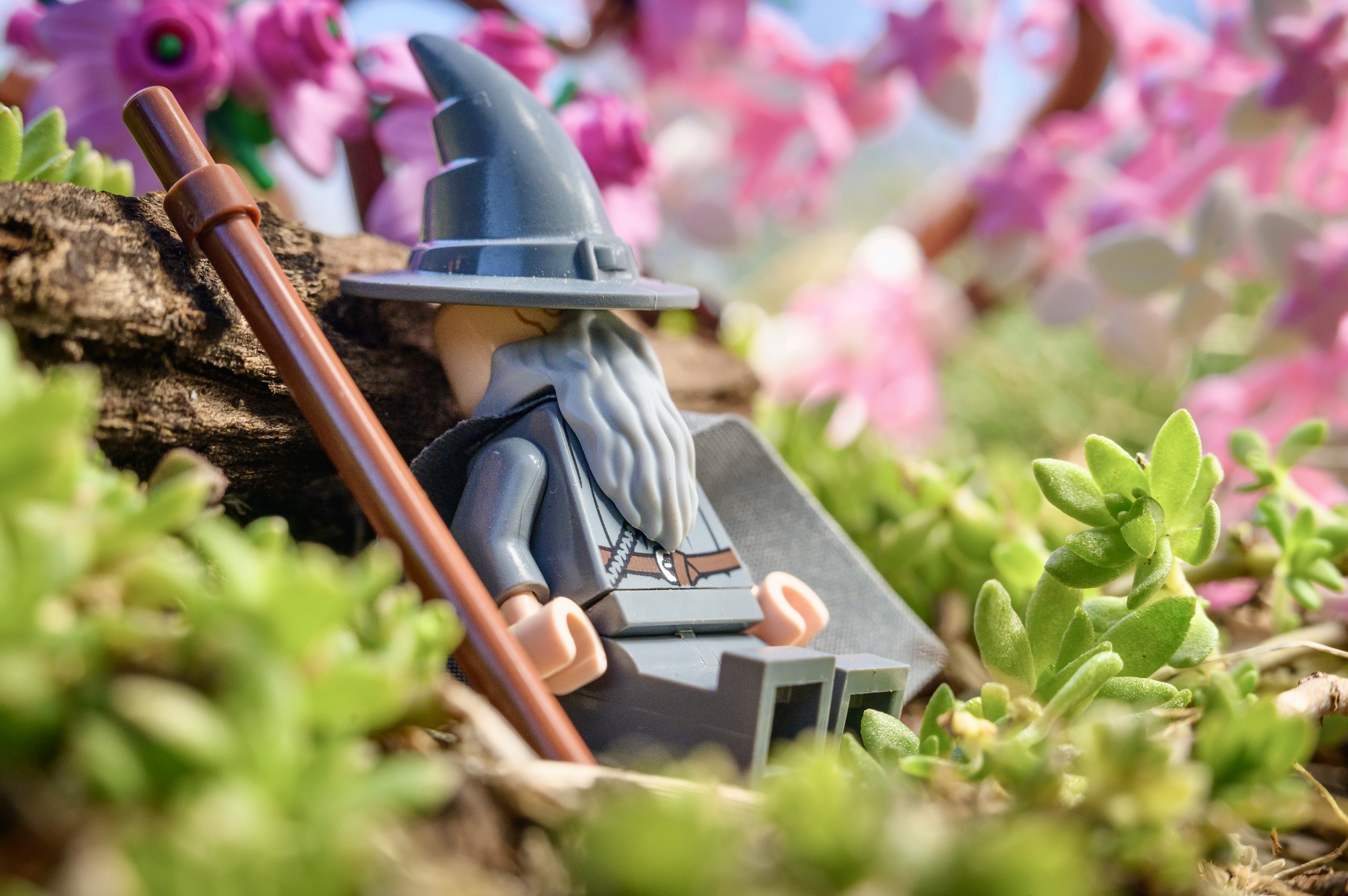 Wizard Nap