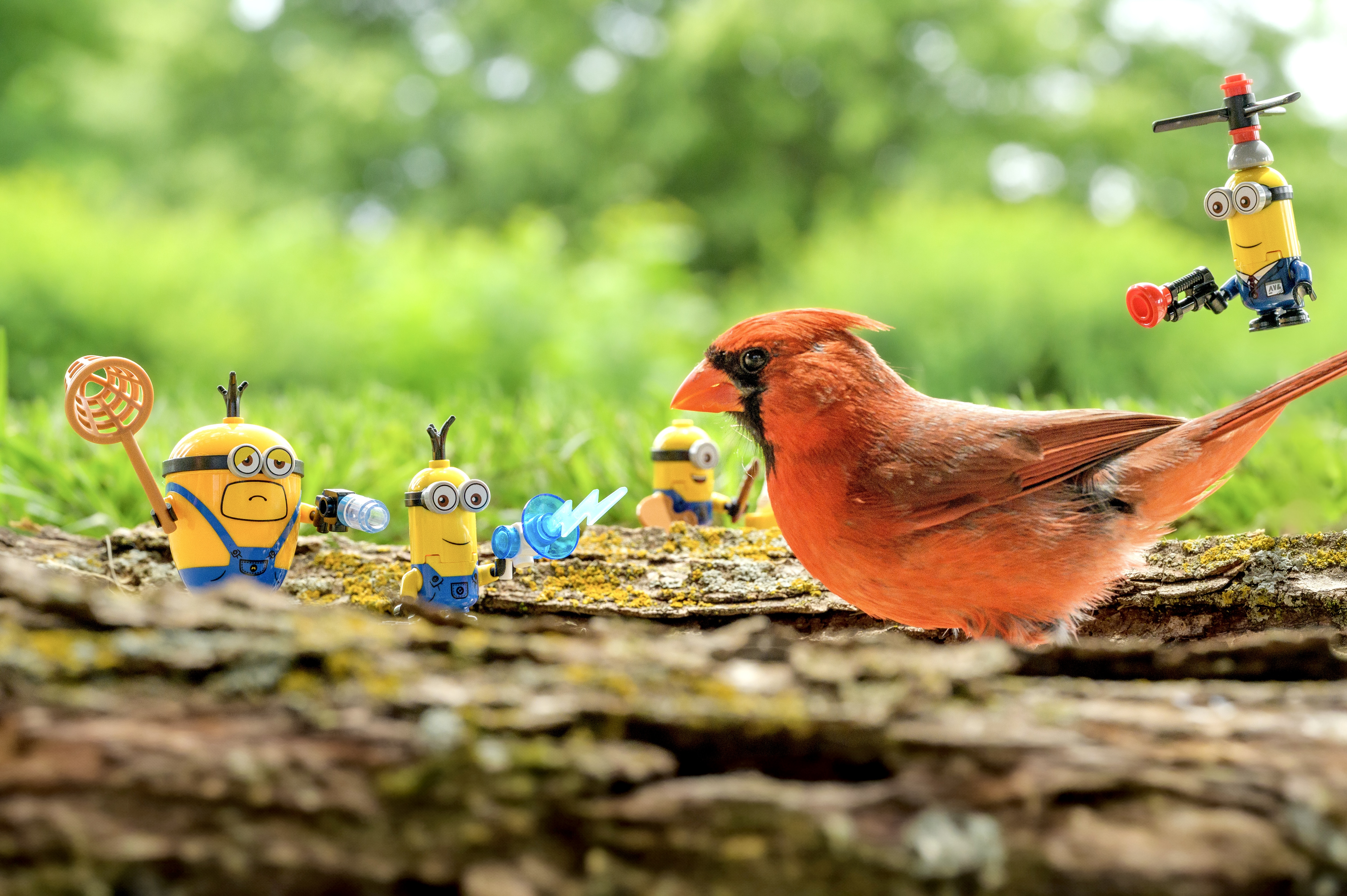 Minions