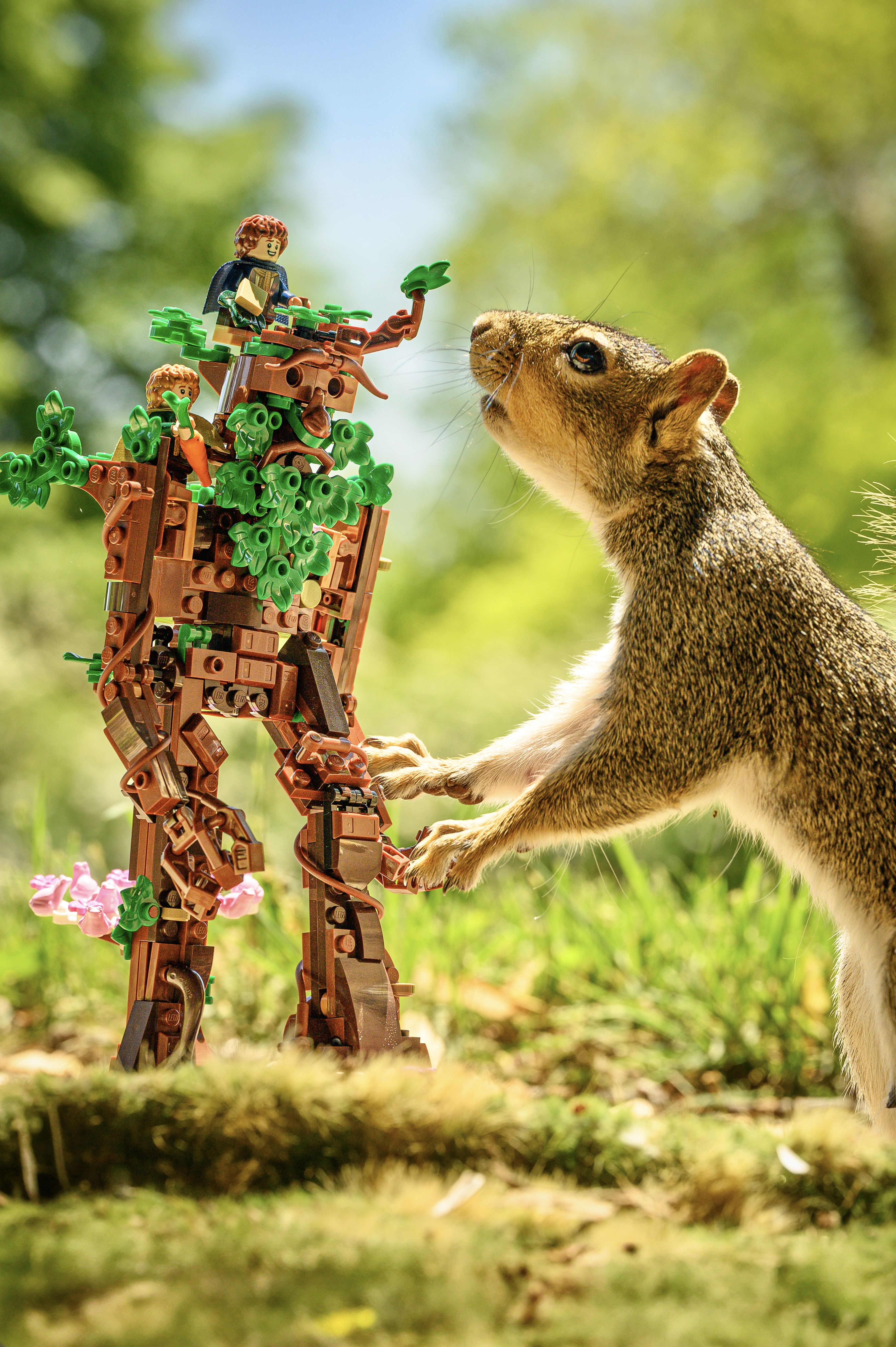 Treebeard
