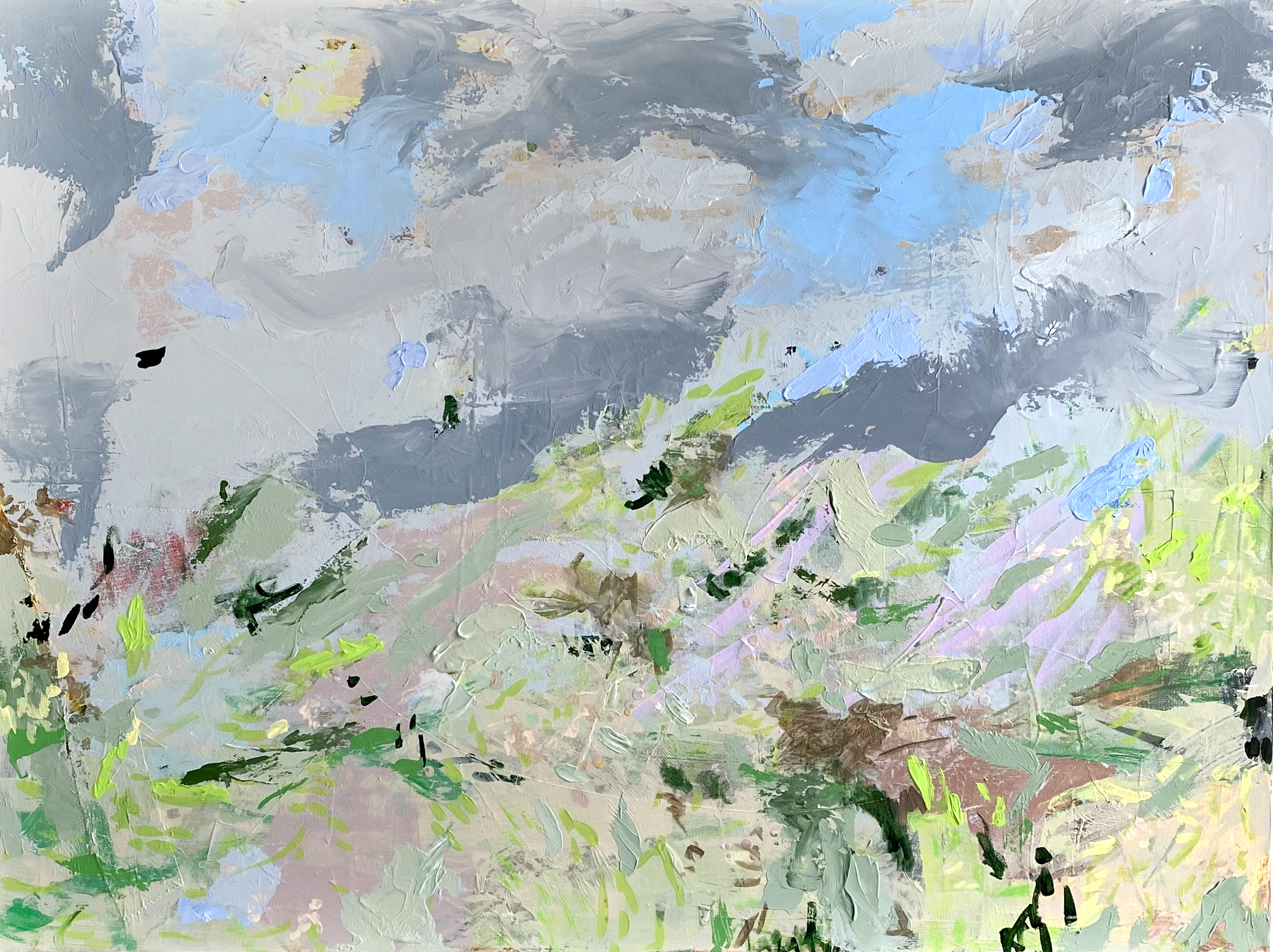 Stormy Meadow