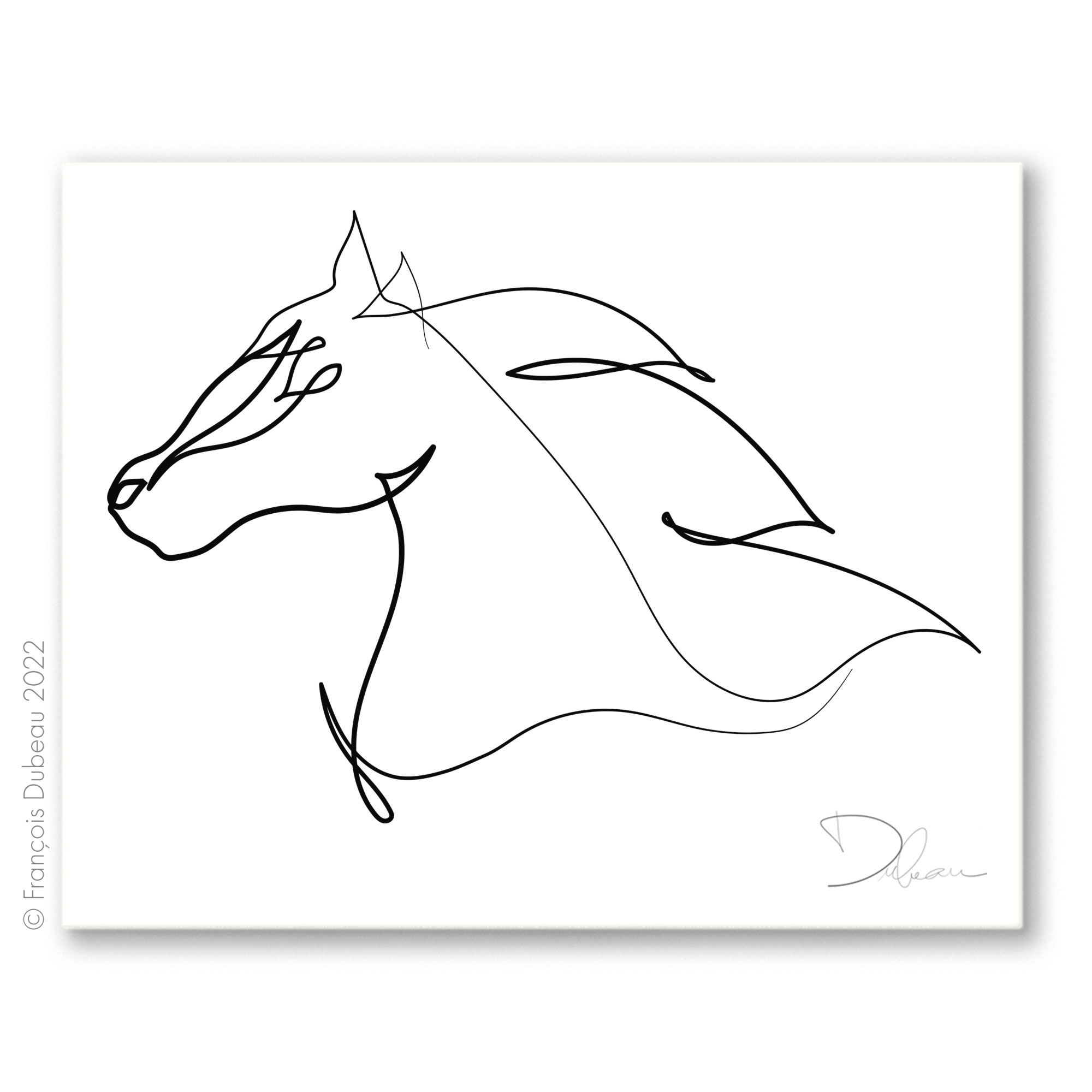 Cheval 4
