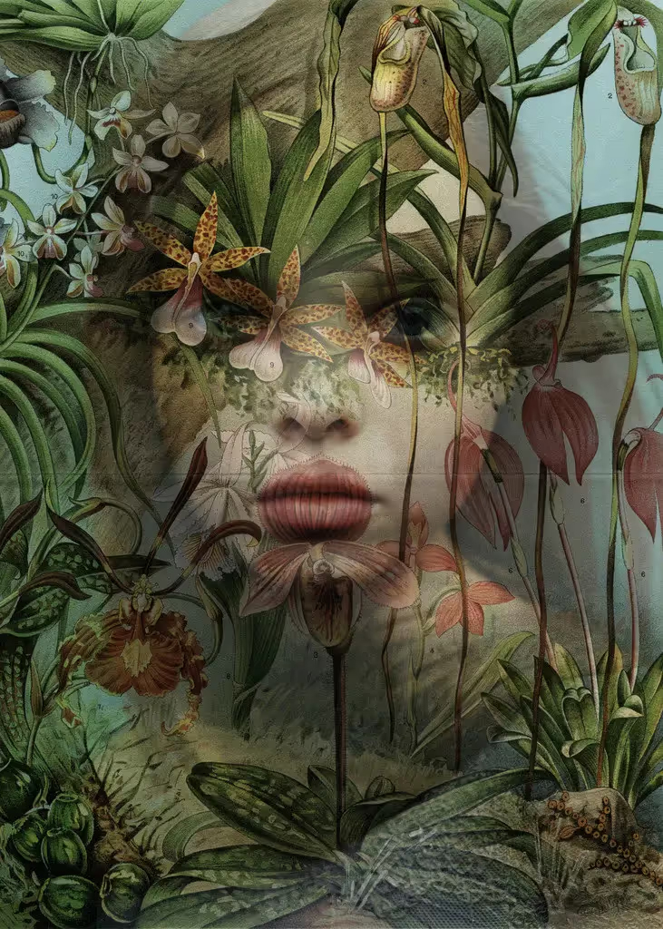 DEMETER YOUNG